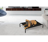 Lit de camp pour animaux grande taille – Intérieur et extérieur 125 X 78 x 20 cm