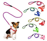 Harnais avec laisse courte 120 cm ART 5823 bicolore pour petits chiens