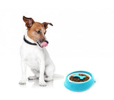 060360 Gamelle original pour chiens chats anti-asphyxie, meilleur digestion 15cm