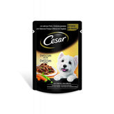 24 pcs délices du jour CESAR nourriture pour chiens sauce poulet/légumes 100gr