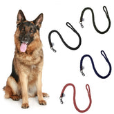 Laisse à corde en nylon 5678 pour chiens taille moyenne ou grande 120 cm x 4 cm