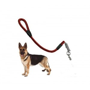 Laisse pour chien de 80 cm en nylon - noire