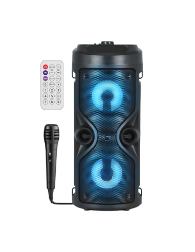 Haut-parleur Bluetooth avec microphone karaoké et lumière LED, portable