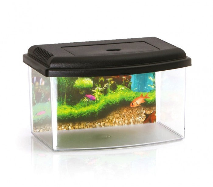10636 Aquarium rectangulaire en plastique rigide 5,5L avec couvercle 28x20x17 cm