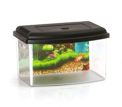 10636 Aquarium rectangulaire en plastique rigide 5,5L avec couvercle 28x20x17 cm