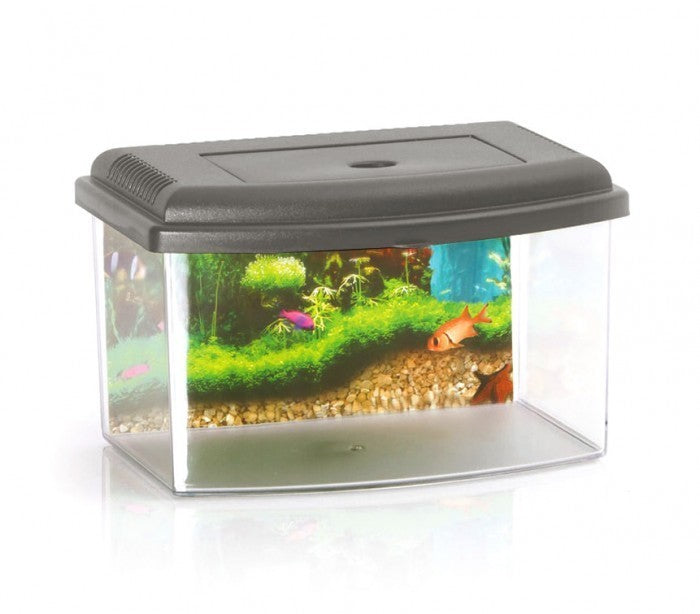 10636 Aquarium rectangulaire en plastique rigide 5,5L avec couvercle 28x20x17 cm