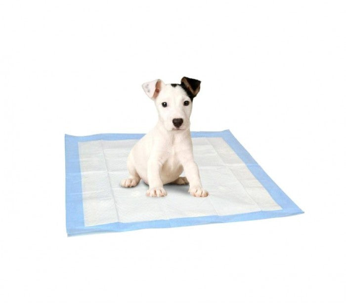 629313 Pack 12 tapis absorbants pour chiens et chats 60x60 cm capte les odeurs