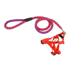 Harnais avec laisse courte 120 cm ART 5823 bicolore pour petits chiens