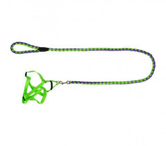 Harnais avec laisse courte 120 cm ART 5823 bicolore pour petits chiens