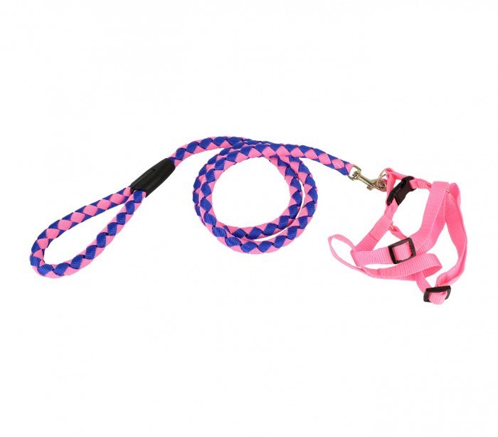 Harnais avec laisse courte 120 cm ART 5823 bicolore pour petits chiens