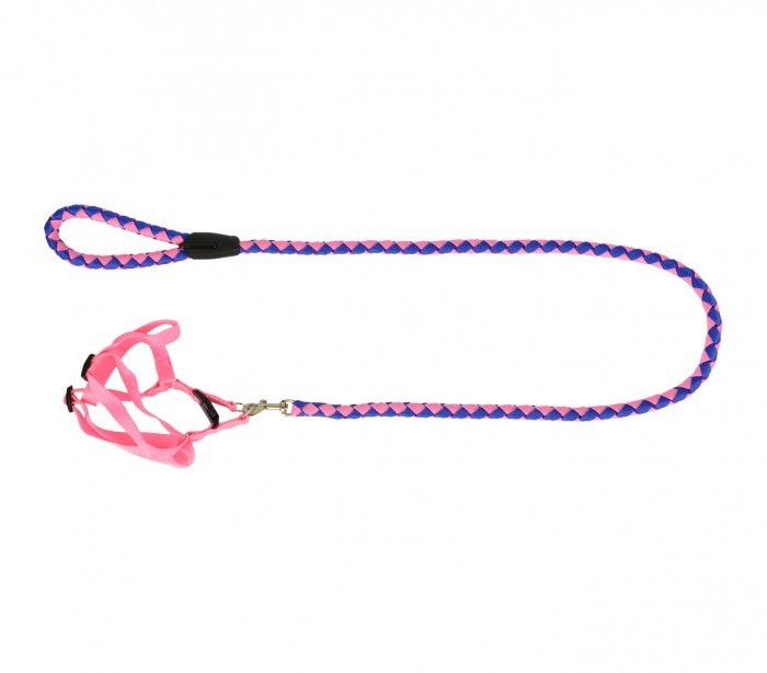 Harnais avec laisse courte 120 cm ART 5823 bicolore pour petits chiens