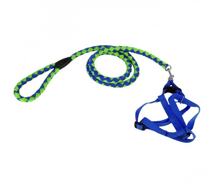 Harnais avec laisse courte 120 cm ART 5823 bicolore pour petits chiens