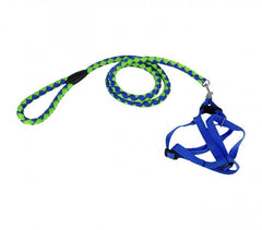 Harnais avec laisse courte 120 cm ART 5823 bicolore pour petits chiens