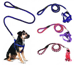 Harnais avec laisse courte 120 cm ART 5824 bicolore pour chiens petits et moyens