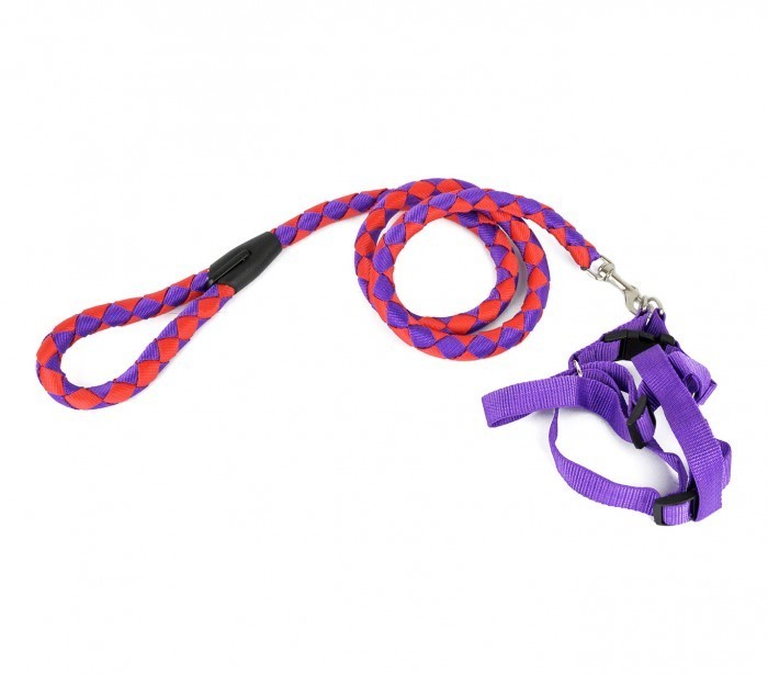 Harnais avec laisse courte 120 cm ART 5824 bicolore pour chiens petits et moyens