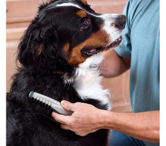 045763 Peigne taille et démêle les noeuds pour chats et chiens
