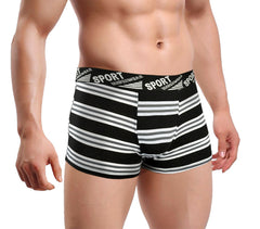 B104 Pack de 12 boxers hommes Huston en coton avec rayures fantaisies