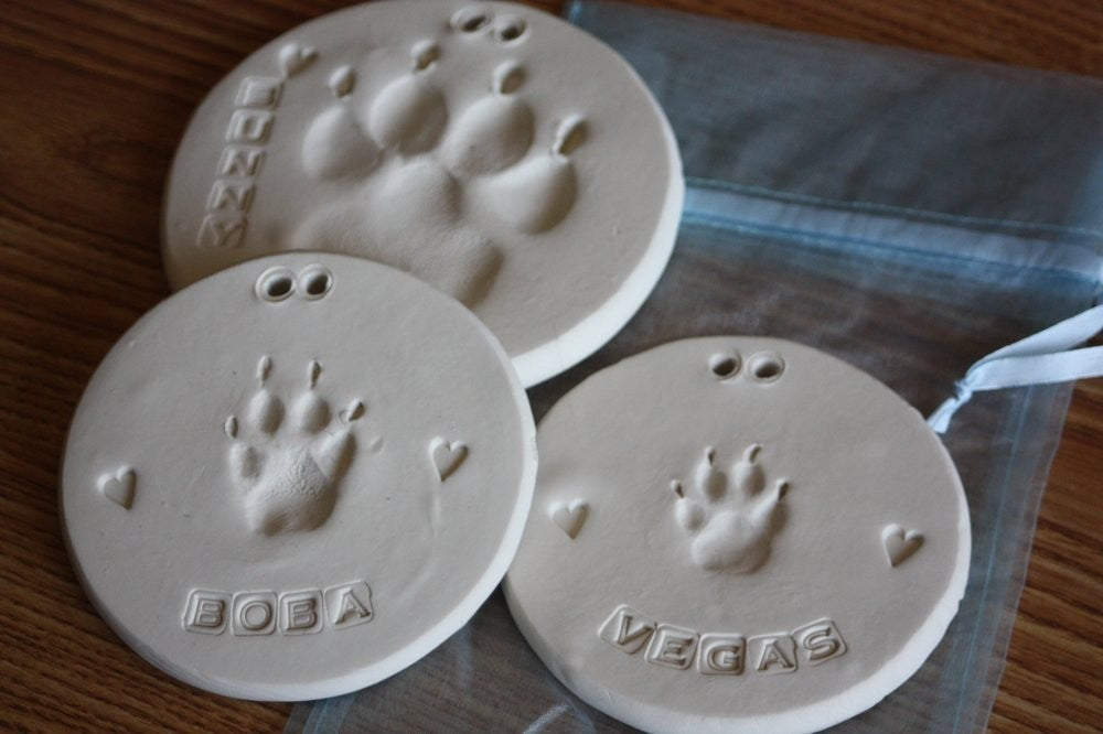 Kit de plâtre pour garder comme souvenir l’empreinte de la patte du chien/chat