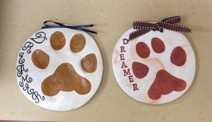 Kit de plâtre pour garder comme souvenir l’empreinte de la patte du chien/chat