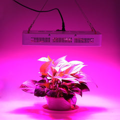4373 Lampe LED horticole 1200W pour culture en intérieur 120 led de 10W crochet