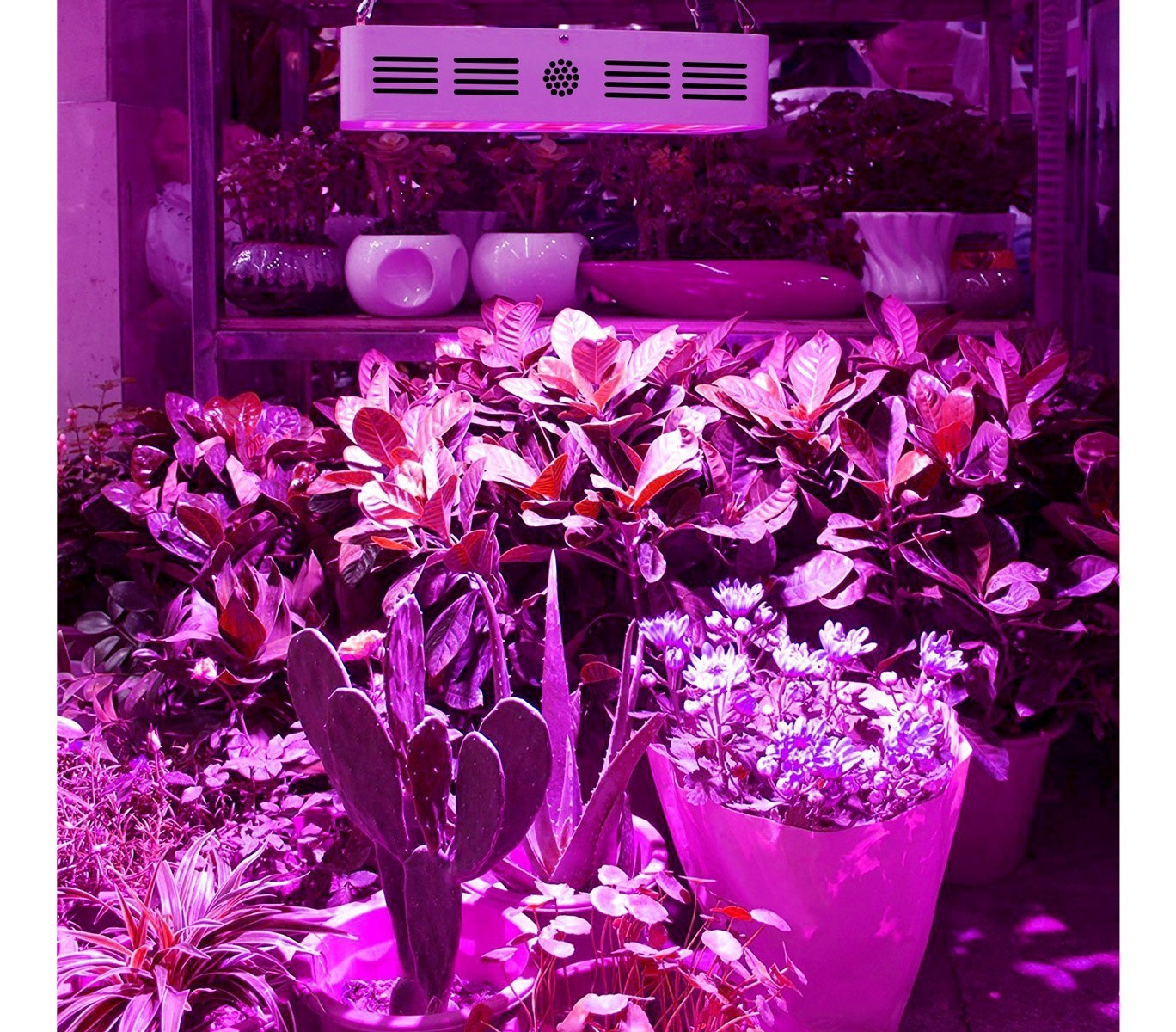 4373 Lampe LED horticole 300W pour culture en intérieur 100 led de 3W crochet
