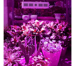 4373 Lampe LED horticole 300W pour culture en intérieur 100 led de 3W crochet