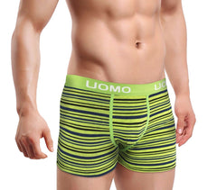B-104 Pack de 5 boxers rayures pour homme modèle Avantgarde tailles de M au XXXL