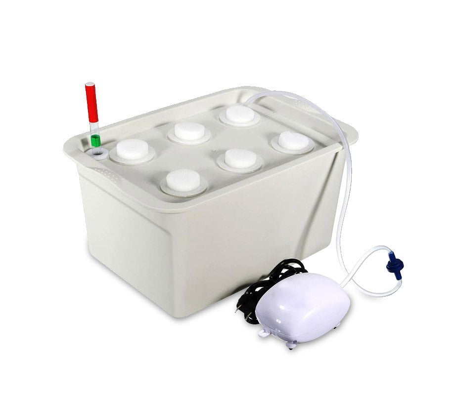 4496 Kit système de culture HYDROPONIQUE boîte 6 trous 41,3x27,6 cm et pompe àir