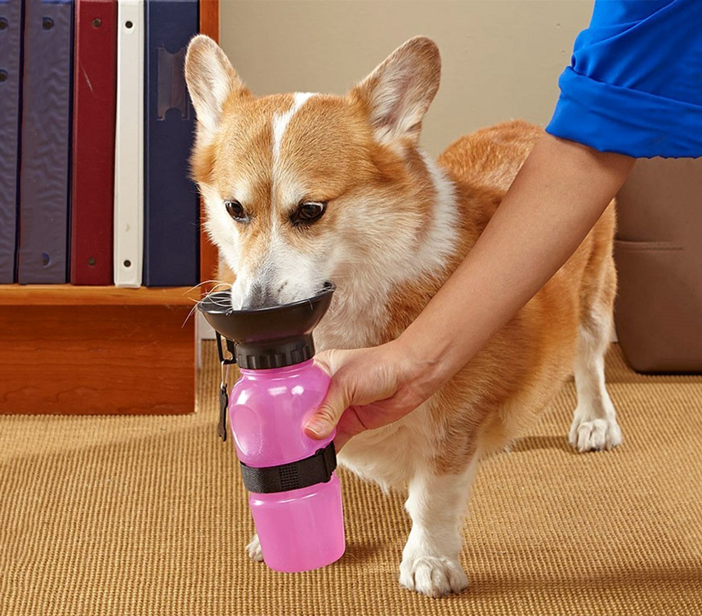 028410 Bouteille d'eau portable pour animaux de compagnie SQUEAZY 0.5 lt