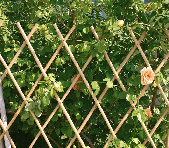 377512 Clôture extensible pour plante jardin ou support murale 60X240 CM