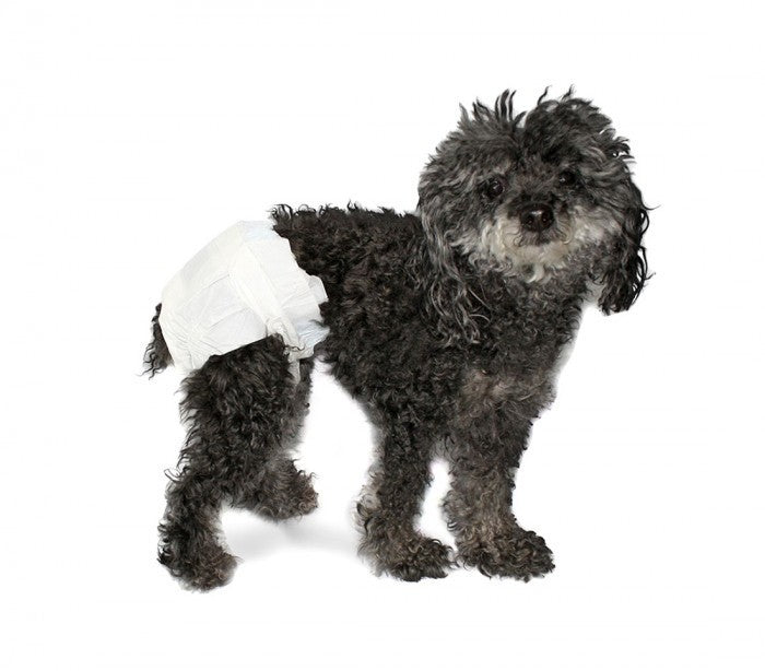  Pack 12 couches absorbantes pour chiens capture les odeurs ,fente pour la queue