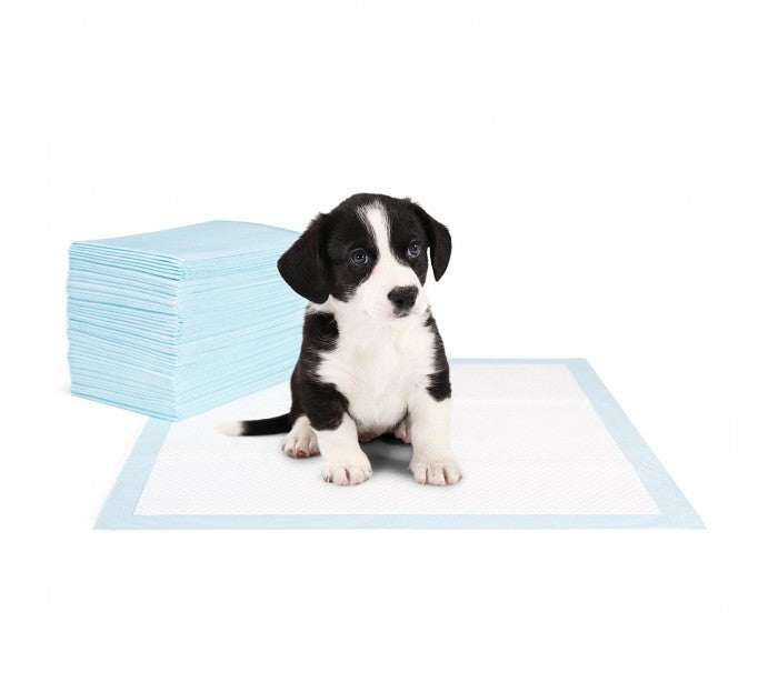 000197 Pack de 50 tapis éducateur propreté pour chien 60x40cm NOBLEZA PUPPY PADS