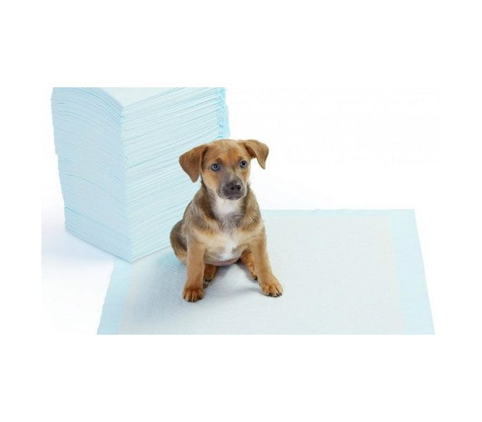 000166  Pack 8 tapis éducateur propreté pour chien 90x60cm NOBLEZA PUPPY PADS
