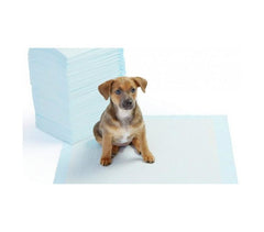 000166  Pack 8 tapis éducateur propreté pour chien 90x60cm NOBLEZA PUPPY PADS