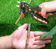 4490 Pince à greffer manuelle outil de jardinage avec 3 lames