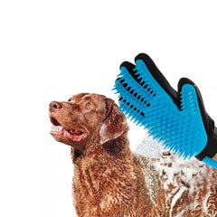 Gant 2 en 1 pour animal lavage et massage  avec tuyau