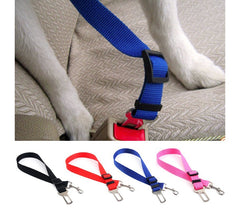 Laisse ceinture avec crochet pour ceinture de sécurité auto - Protection animaux