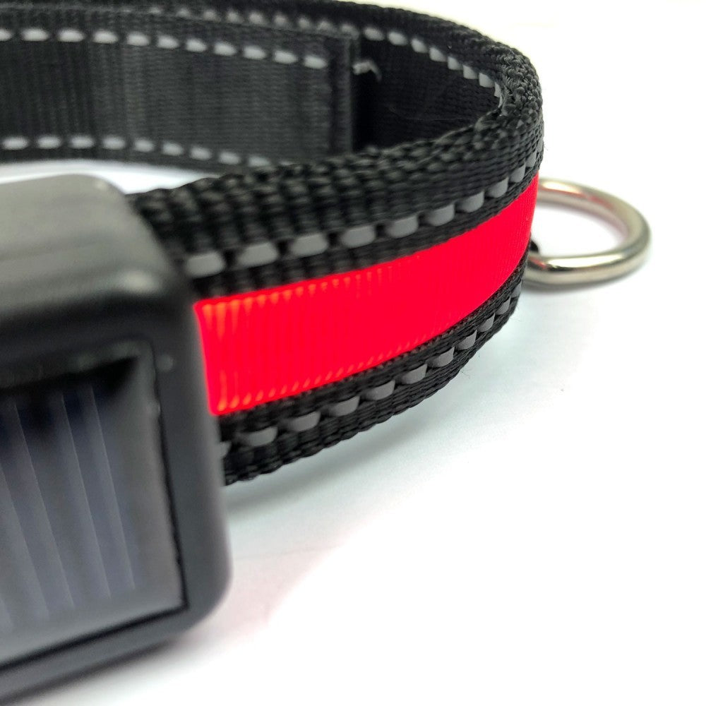 FUBUCA Collier réglable LED pour chiens avec charge solaire et usb 3 tailles
