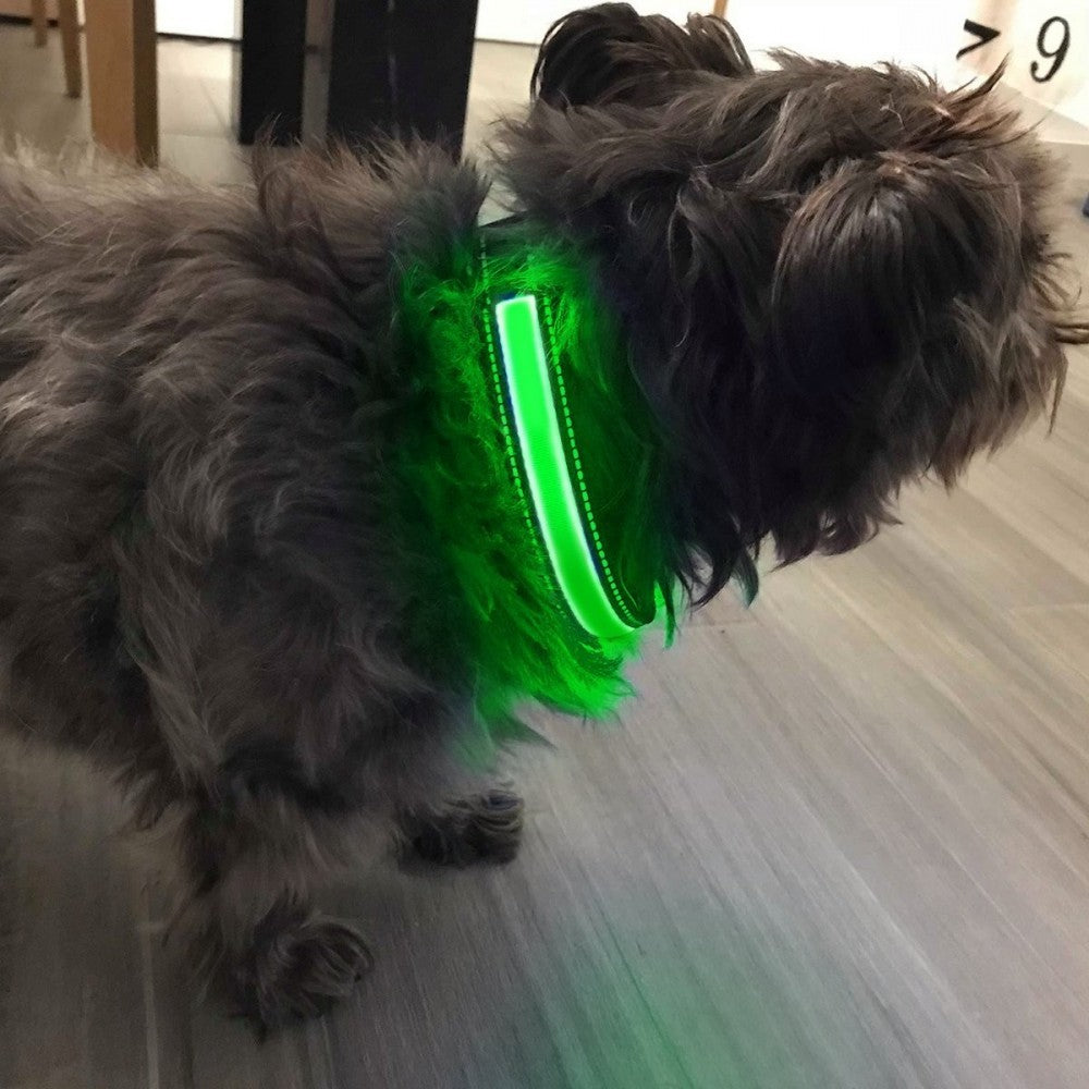 FUBUCA Collier réglable LED pour chiens avec charge solaire et usb 3 tailles