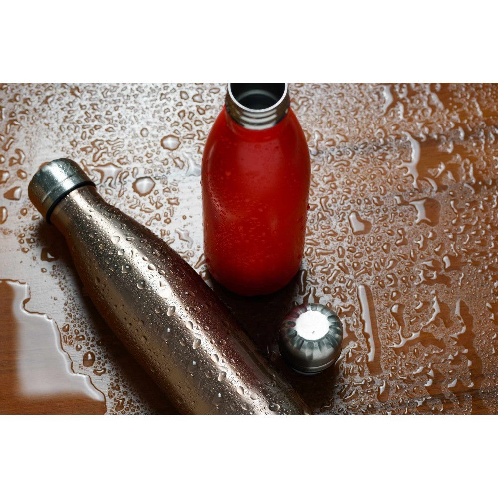186168 Bouteille d'eau thermique de 500 ml en acier sans BPA plusieurs coloris