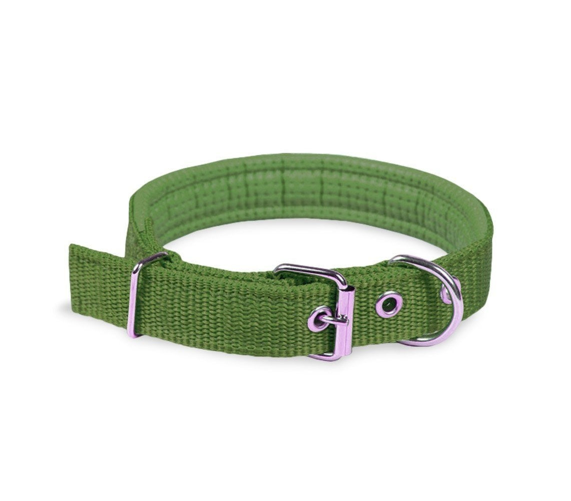 Collier pour chien mod. Phoenix rembourré boucle de fermeture réglable -taille M