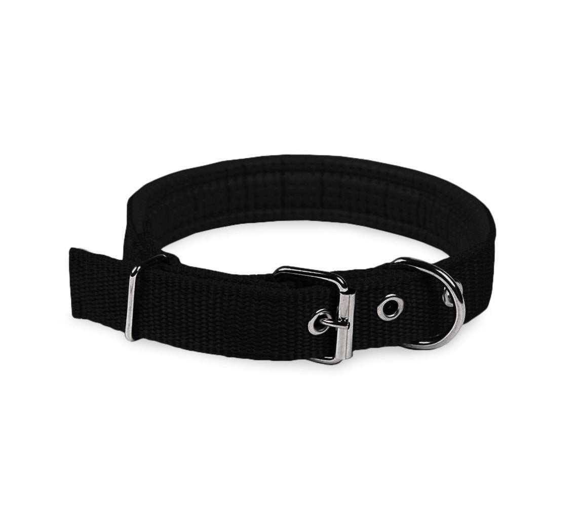 Collier pour chien mod. Phoenix rembourré boucle de fermeture réglable -taille M