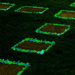 Pack 100 pierres lumineuses décoratives qui brillent dans le noir