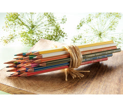 6019/2-24 Étui carton de 24 crayons de couleur STABILO GREEN hexagonal