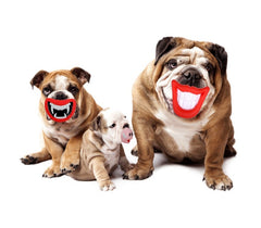 15968 Jouet à mordre SMILE pour chiens avec son en caoutchouc naturel