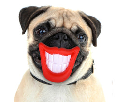 15968 Jouet à mordre SMILE pour chiens avec son en caoutchouc naturel