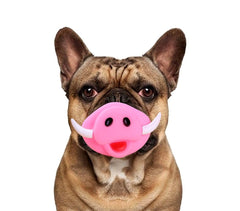 15968 Jouet à mordre SMILE pour chiens avec son en caoutchouc naturel