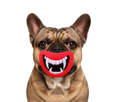 15968 Jouet à mordre SMILE pour chiens avec son en caoutchouc naturel