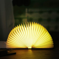 Lampe accordéon LED pivotante avec connexion USB et pochette  22x16x2.5cm