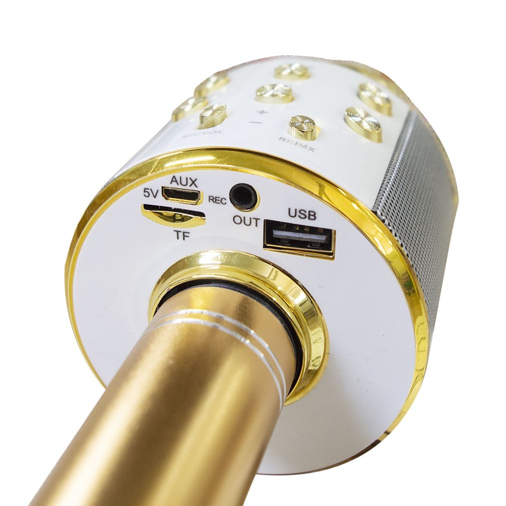 Micro sans fil hifi Speaker 812855 enregistre et écoute vos chansons